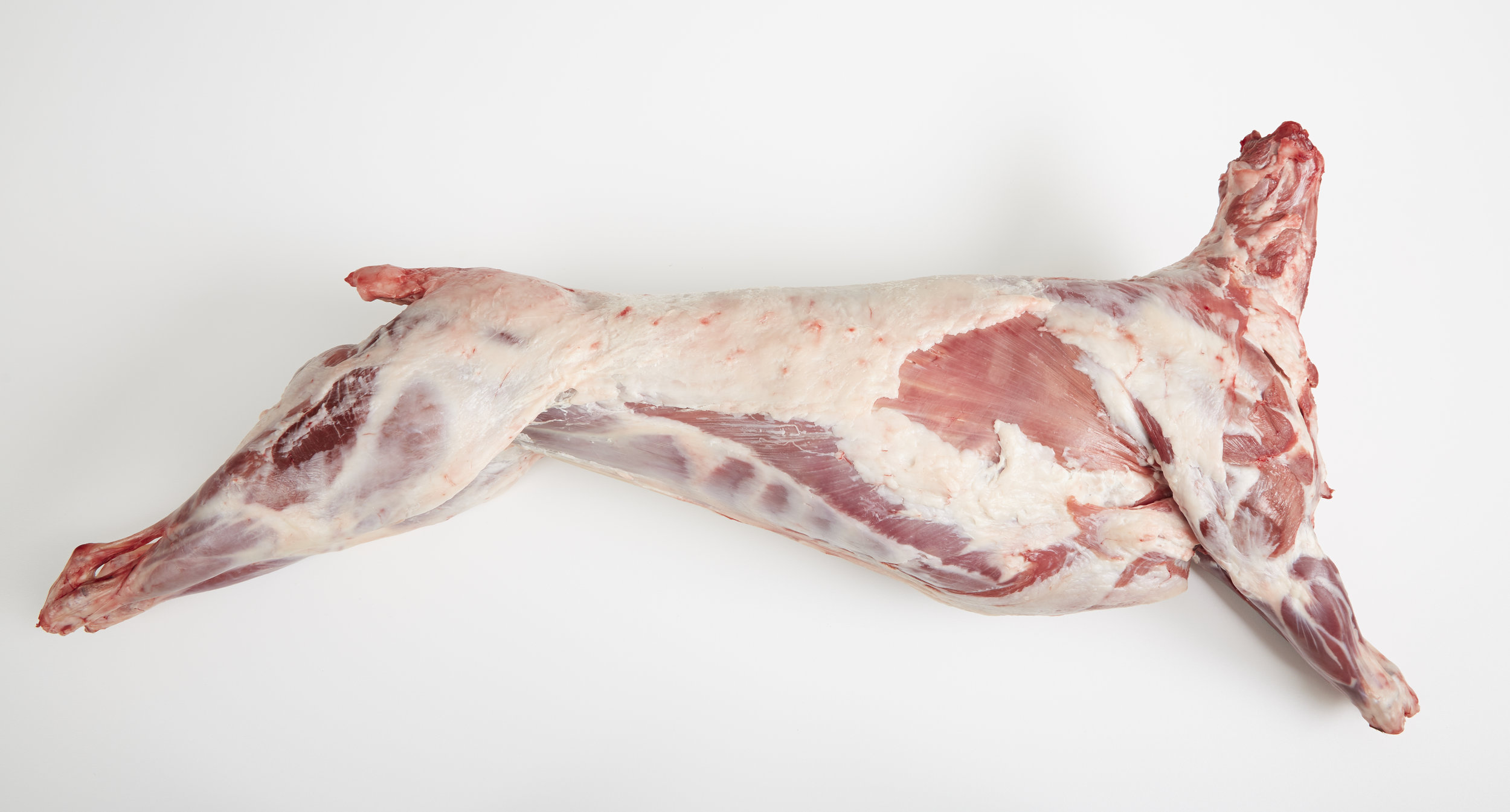 Karkas Kambing Segar dan Berkualitas, Karkas Kambing Murah, Karkas Kambing Ponorogo, Karkas Kambing Berkualitas